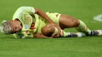 ضربة مفاجئة للماتادور.. الإصابة تبعد أولمو عن معسكر إسبانيا قبل مواجهة جورجيا 1